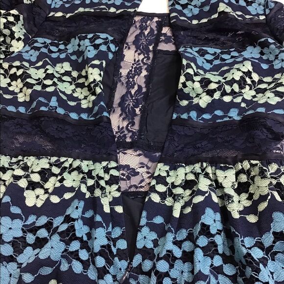 Dolly & Delicious Embroidered Lace Skater Dress - Picture 10 of 11